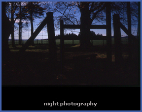 night