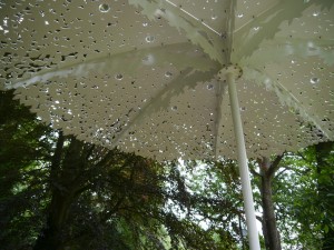  Umbrella