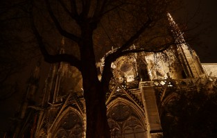 Notre Dame-night